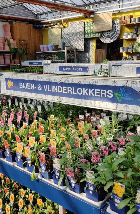 bij- en vlinderlokkende planten