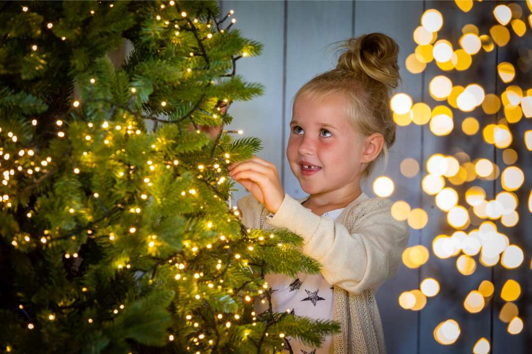 Afwijzen Zielig Lezen Kerstverlichting kiezen - Tuincentrum de Driesprong