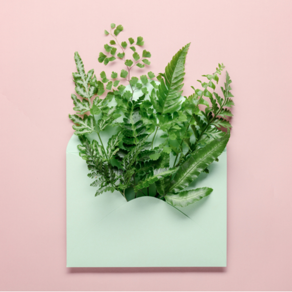 cadeaukaart