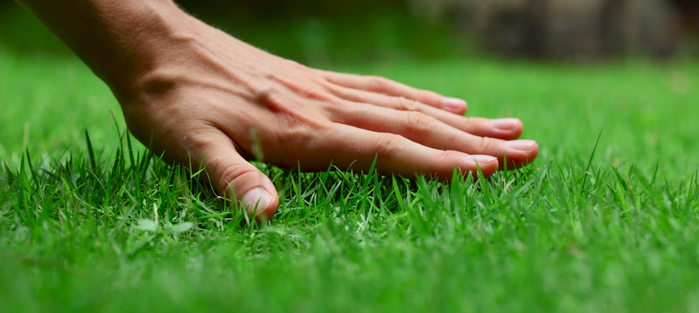 je gras onderhouden? Dat doe je zó