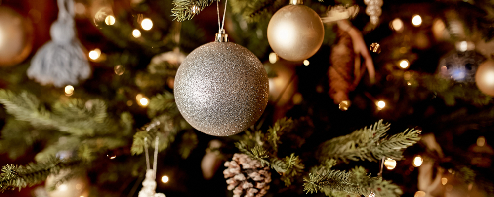 Kerstverlichting kopen | Tuincentrum De Driesprong Zoetermeer