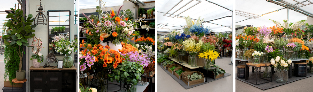 Kunstbloemen en -planten kopen | Tuincentrum de Driesprong