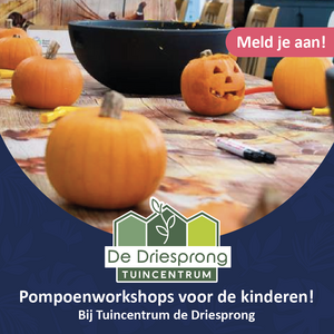 GRATIS Pompoen workshops