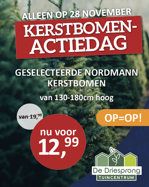 Kerstbomen actiedag!