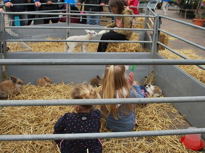 Kinderboerderij bij de Driesprong