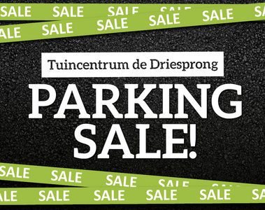 Parking Sale!