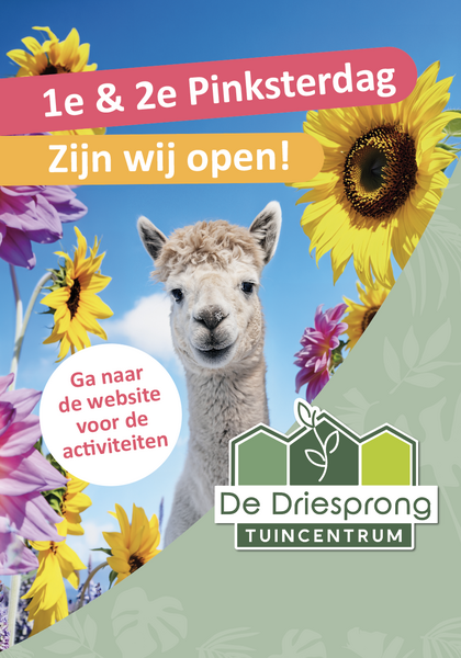 Pinksteren bij de Driesprong
