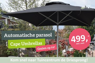 Cape Umbrellas: de automatische parasol!