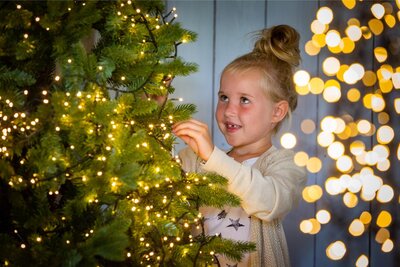 Kerstverlichting kiezen