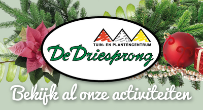 Activiteiten bij de Driesprong