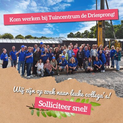 Werken bij De Driesprong? Dat kan!