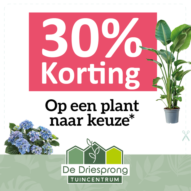 30% korting op een plant naar keuze!