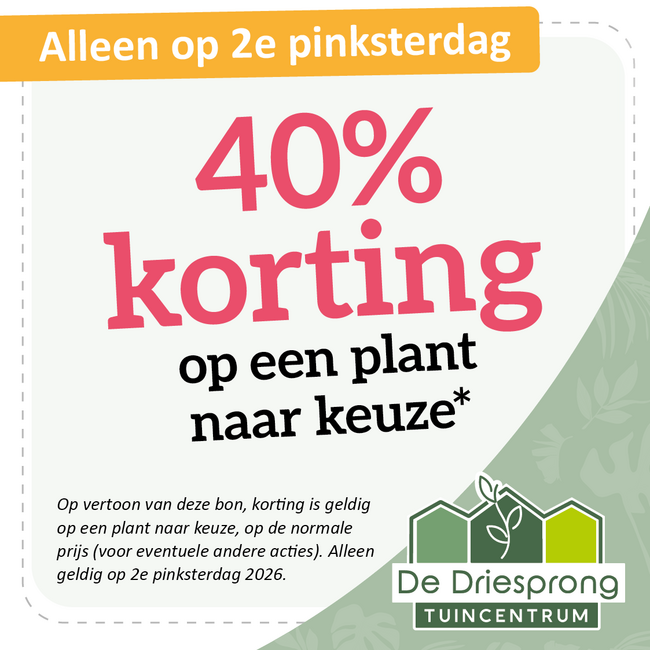 40% korting op een plant naar keuze*