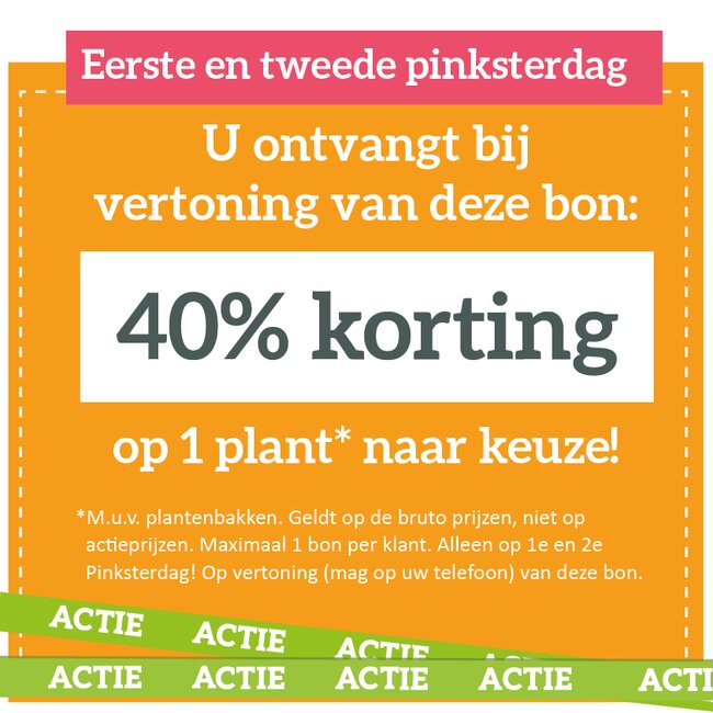 40% KORTINGSBON - op een plant naar keuze