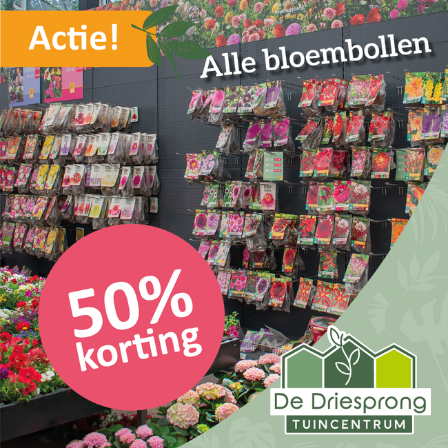 Alle bloembollen