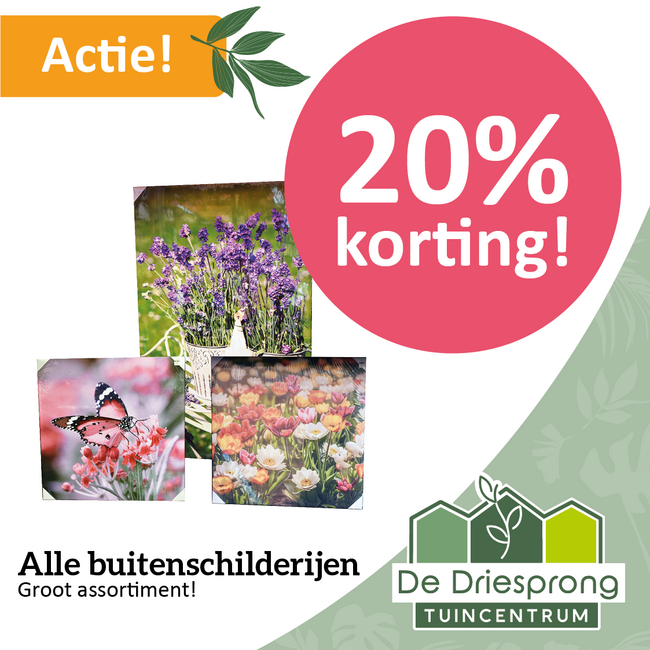 Alle buitenschilderijen