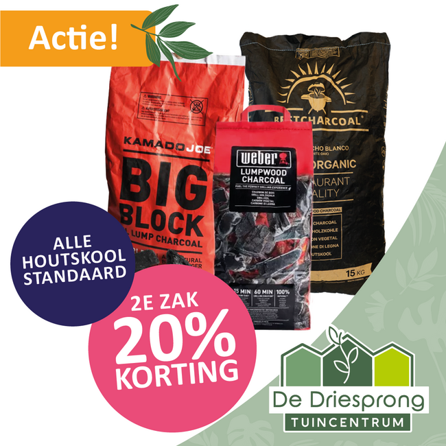 Alle  houtskool