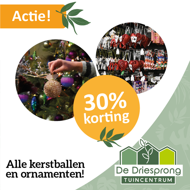 Alle kerstballen en ornamenten 30% korting!