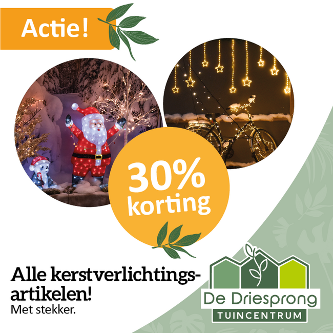 Alle kerstverlichtingsartikelen 30% korting!