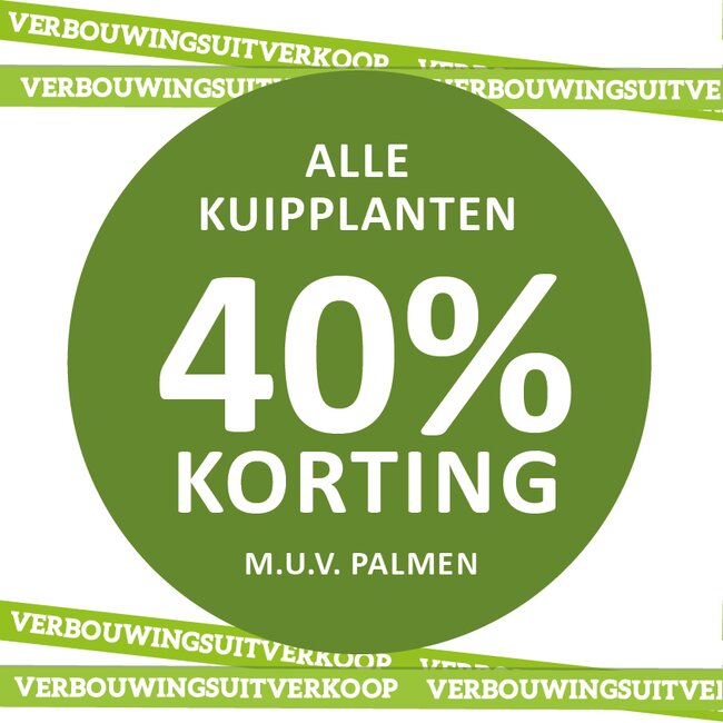 Alle kuipplanten* nu 40% korting!