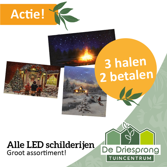 Alle LED schilderijen 3 Halen 2 betalen!