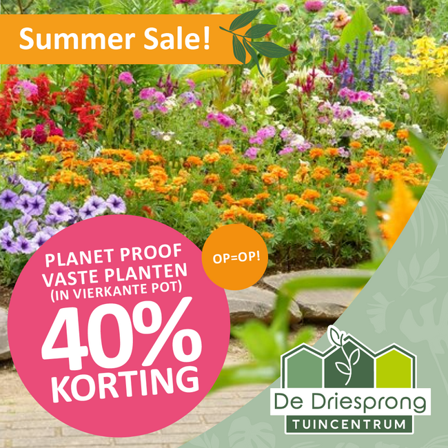 Alle Planet Proof vaste planten* 40% korting!