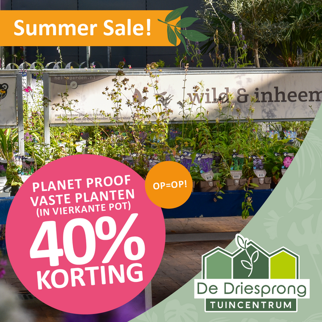 Alle Planet Proof vaste planten* 40% korting!