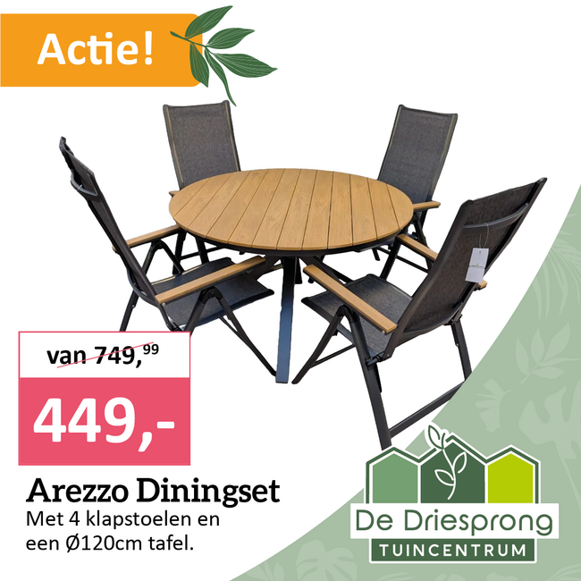 Arezzo Diningset
