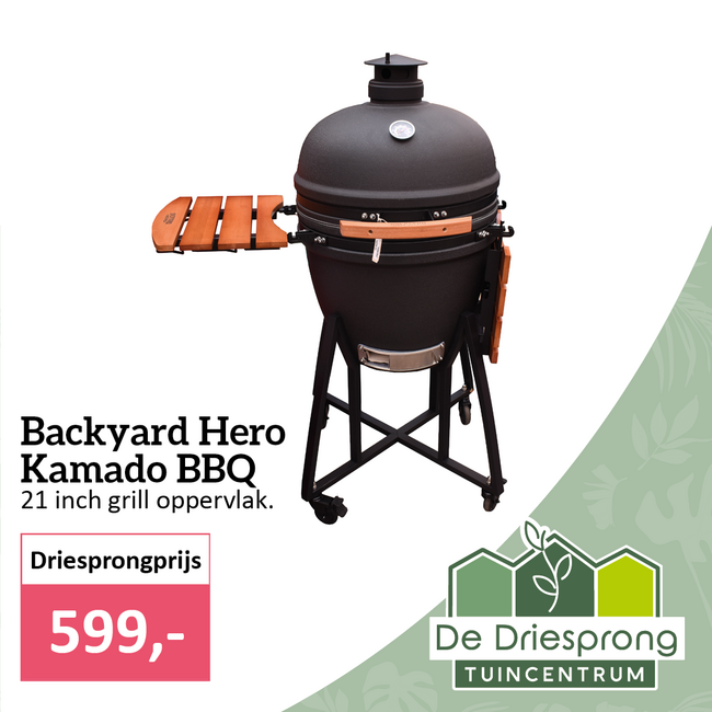 Backyard Hero Kamado BBQ