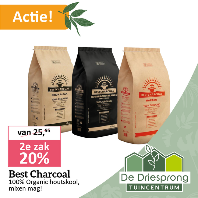 Best Charcoal houtskool