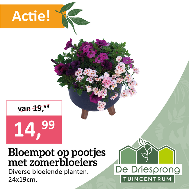 Bloempot op pootjes met zomerbloeiers