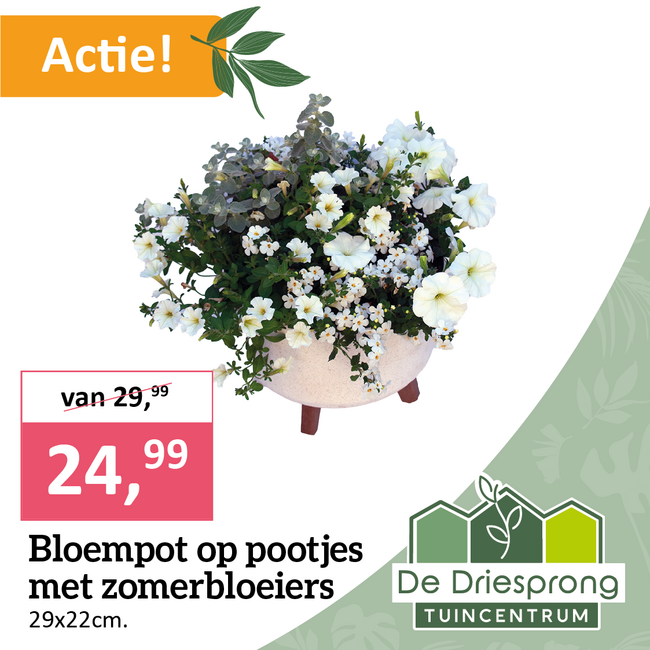 Bloempot op pootjes met zomerbloeiers