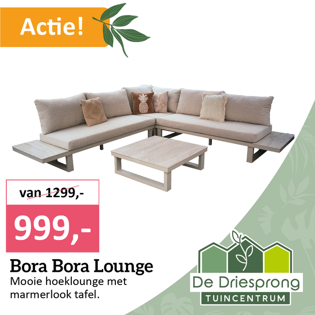 Bora Bora Lounge