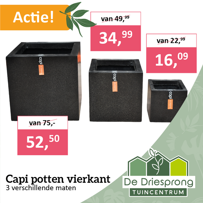 Capi potten vierkant