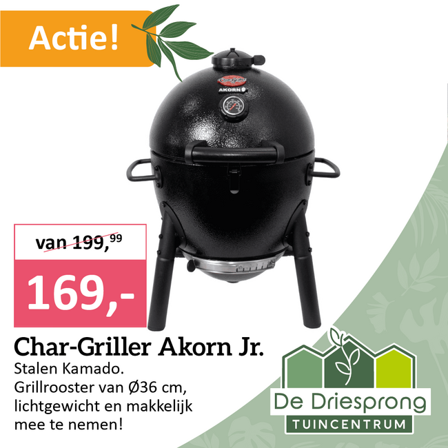 Char-Griller Akorn Jr.
