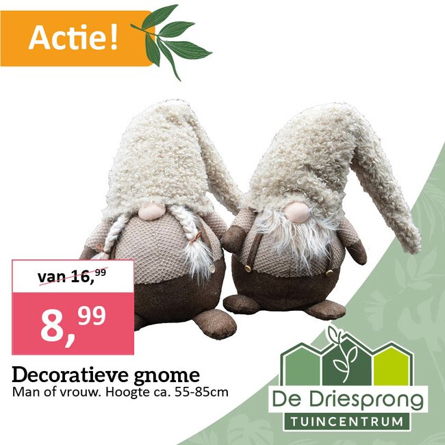 Decoratieve Gnome