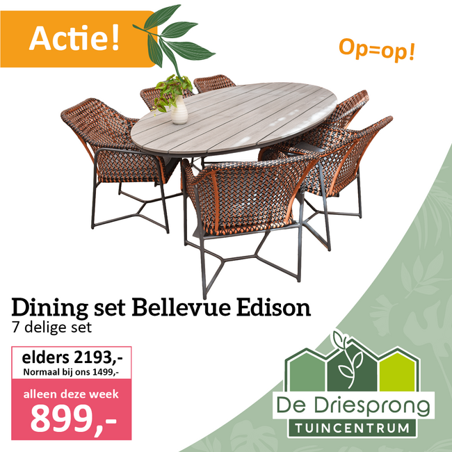 Dining set Bellevue Edison