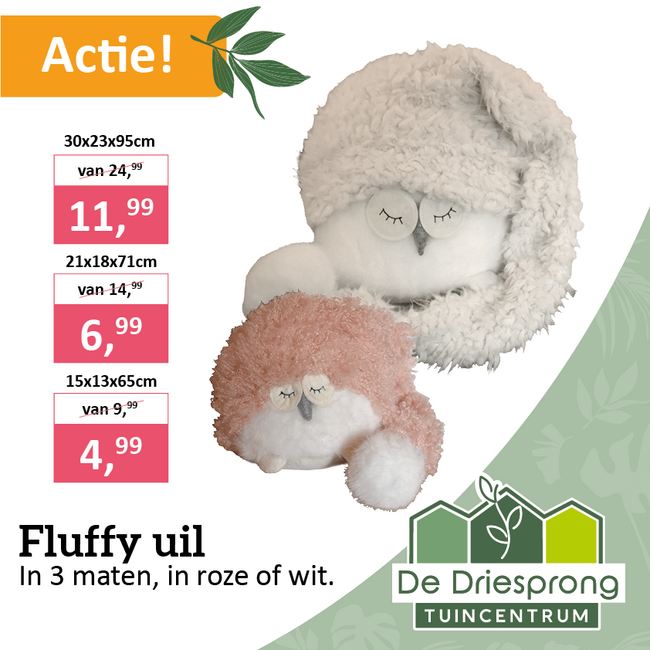 Fluffy uil