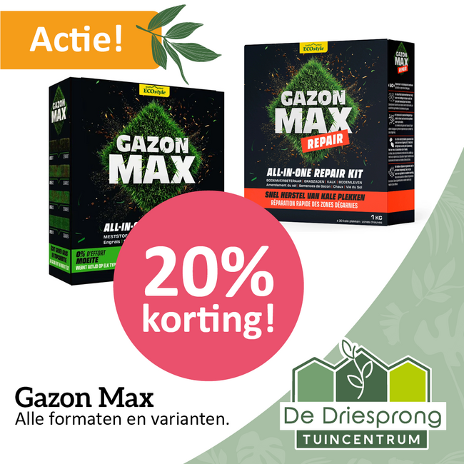 Gazon Max