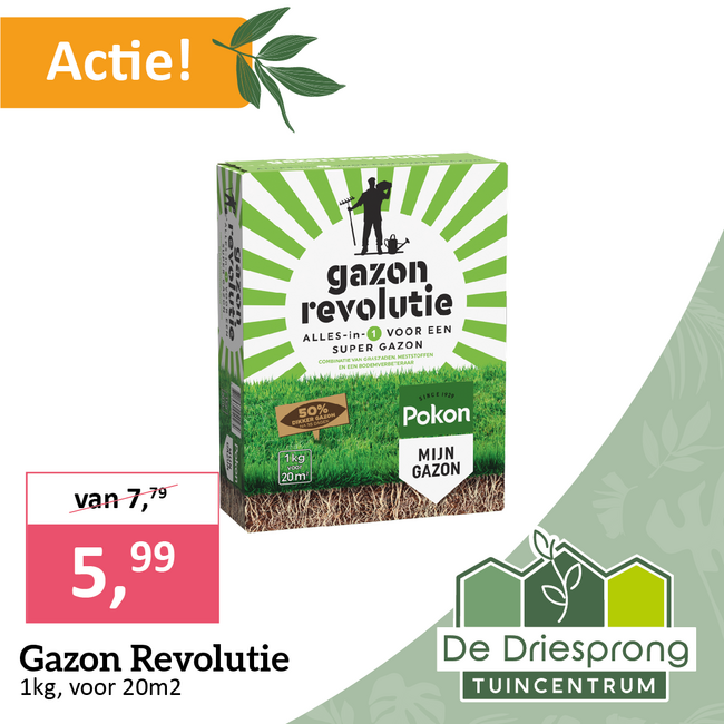 Gazon Revolutie