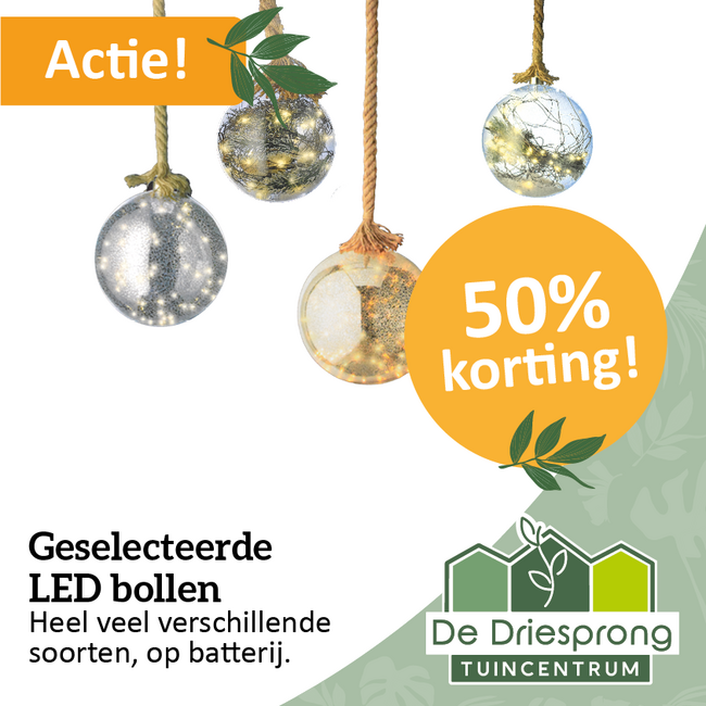 Geselecteerde LED bollen 50% KORTING!