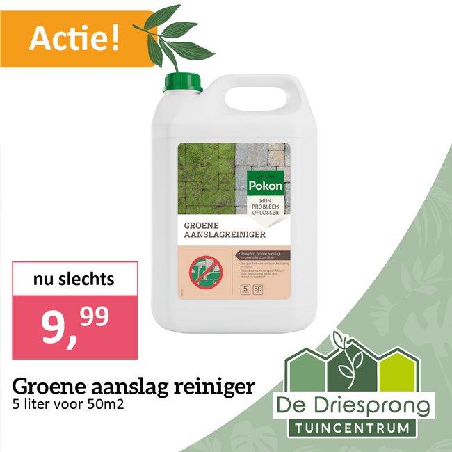 Groene aanslag reiniger