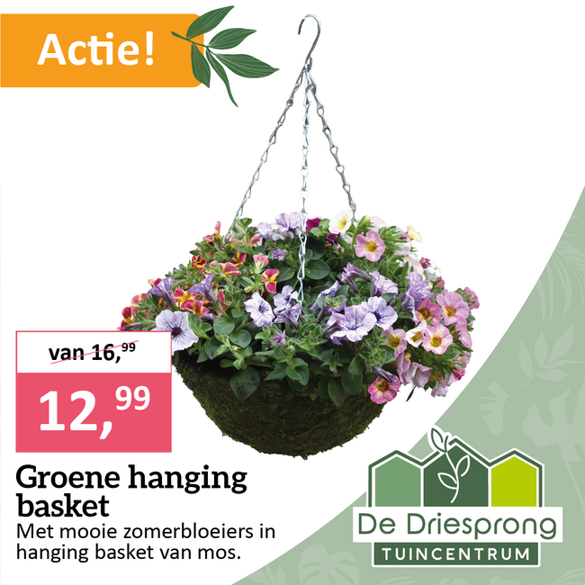 Groene hanging basket