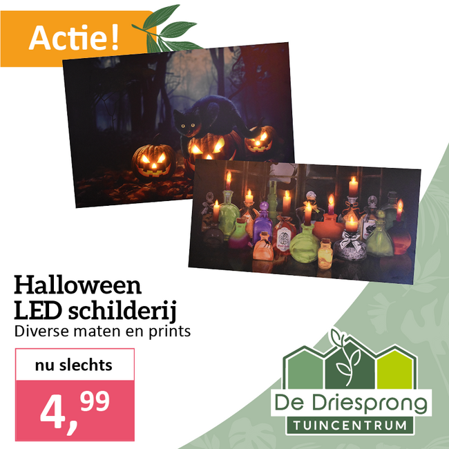 Halloween LED schilderij