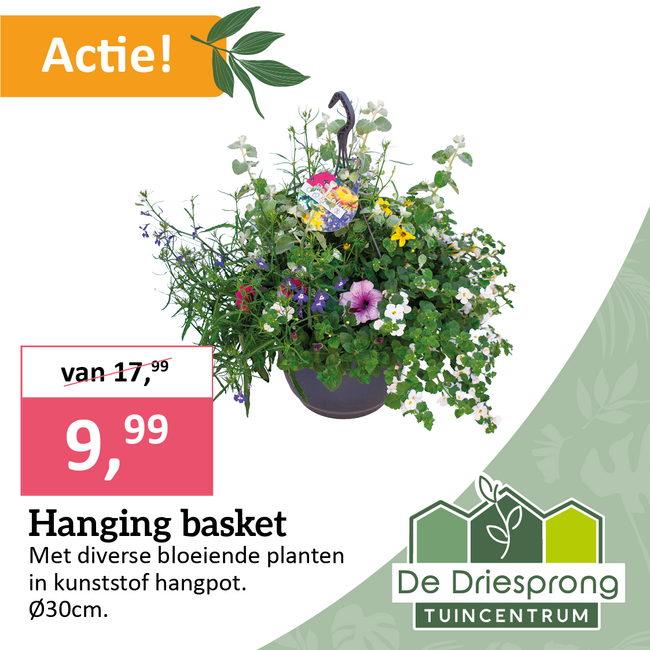 Hanging basket