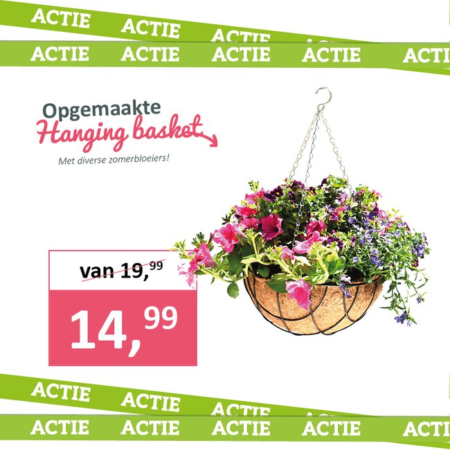 Hanging basket