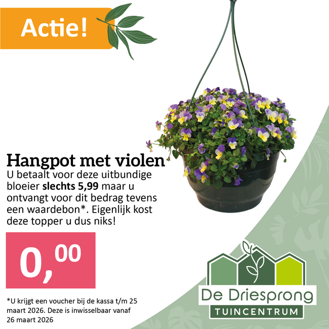 Hangpot met violen