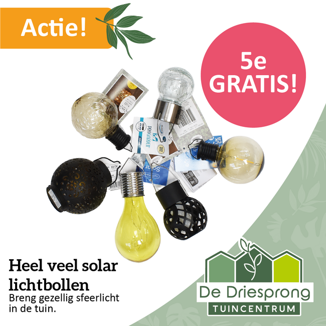 Heel veel solar lichtbollen
