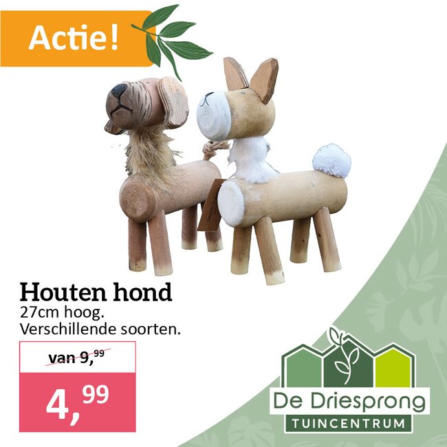 Houten hond