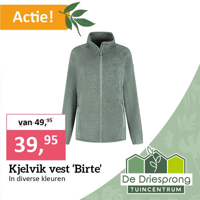 Kjelvik vest 'Birte'